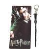 harry potter asa anahtarlık