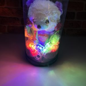 Silindir Kutulu Led Ayıcıklı Set
