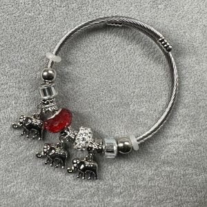 Pandora Charm Bileklik